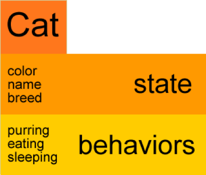 cat stores behaviours