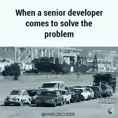 when a senior developer solves a problem