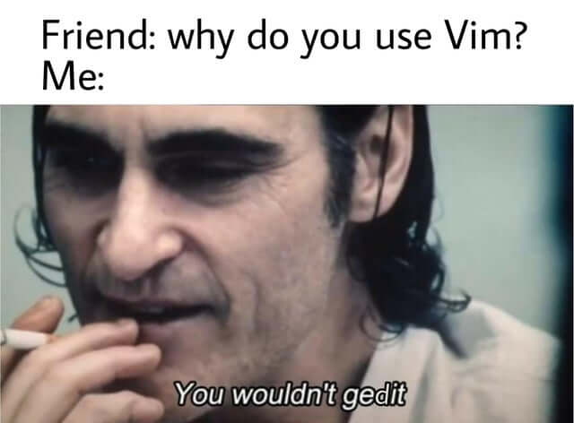why do you use vim?